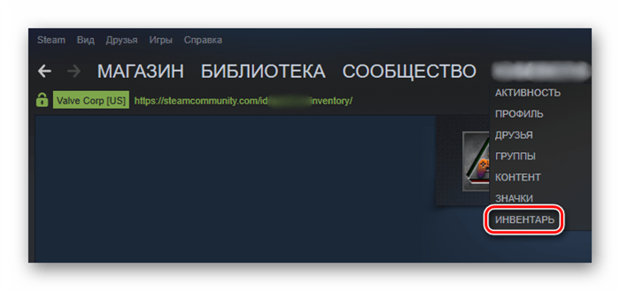 Перейдите на вкладку «Инвентарь» в Steam